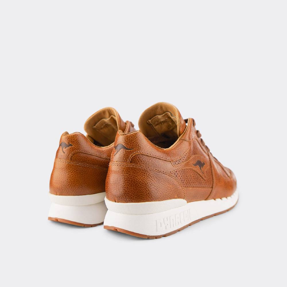 Kangaroos VOLTERA COIL Valentinstagsangebot