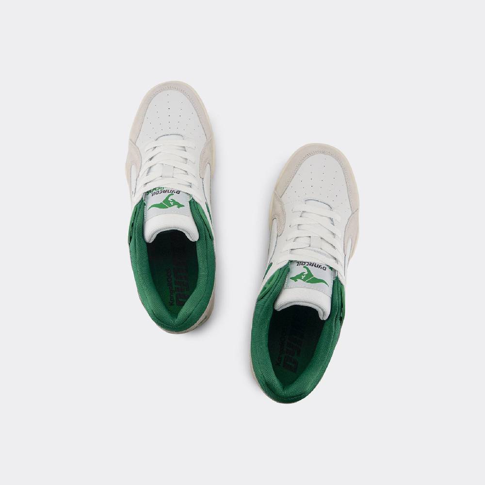 Kangaroos 3 POINTER 2.0 Tiefpreis