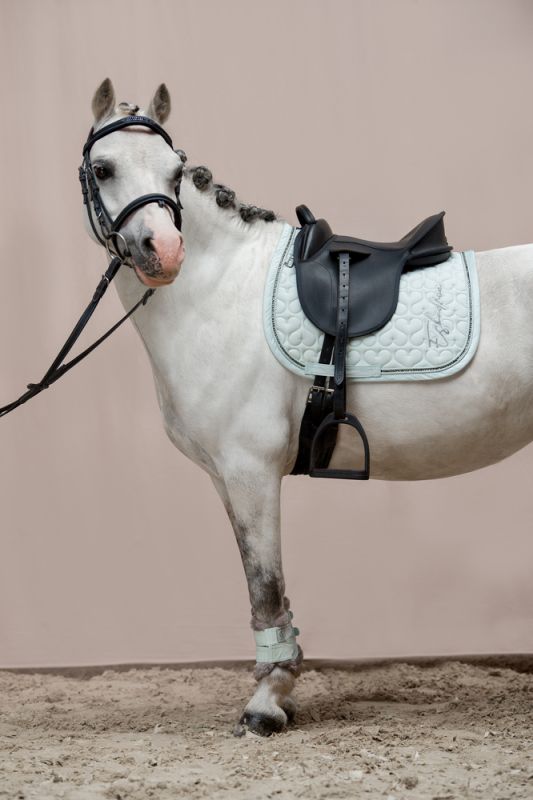Pikeur COTTON GLITTER CRYSTAL S 50% Rabatt für begrenzte Zeit