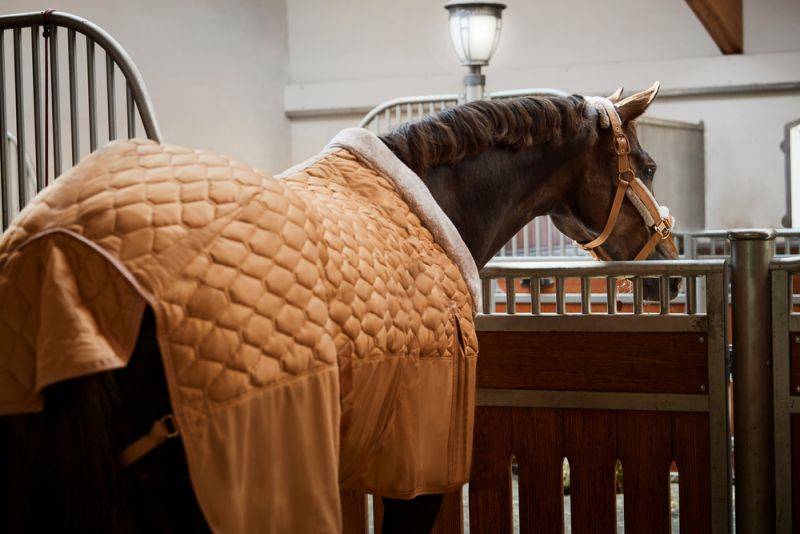 Pikeur ZETA 150 Versandkostenfrei