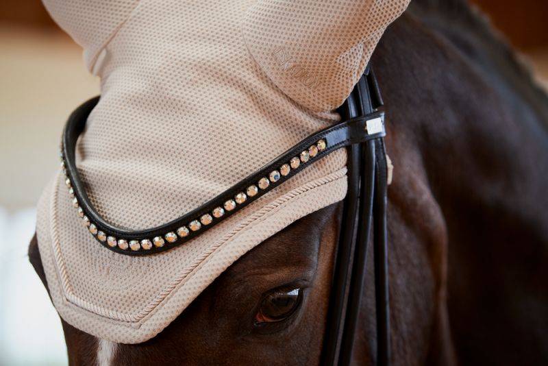 Pikeur MESH Preisnachlass
