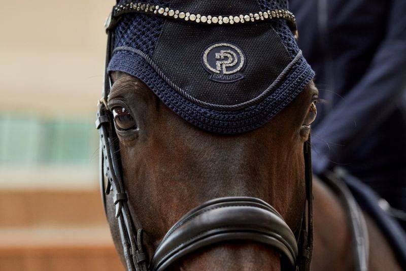 Pikeur GLITTER MESH Valentinstagsangebot