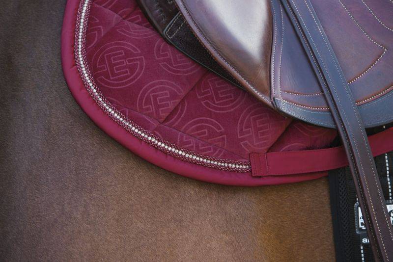 Pikeur VELVET CRYSTAL Jubiläumsangebot