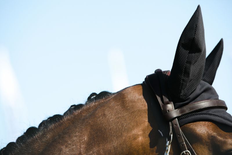 Pikeur SPORT VIP-Rabatte