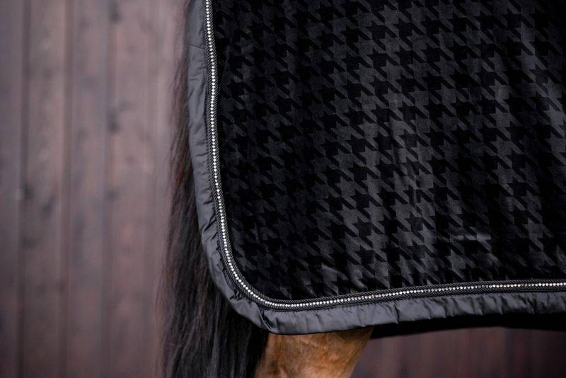 Pikeur VELVET Essence Limited Wochenangebot