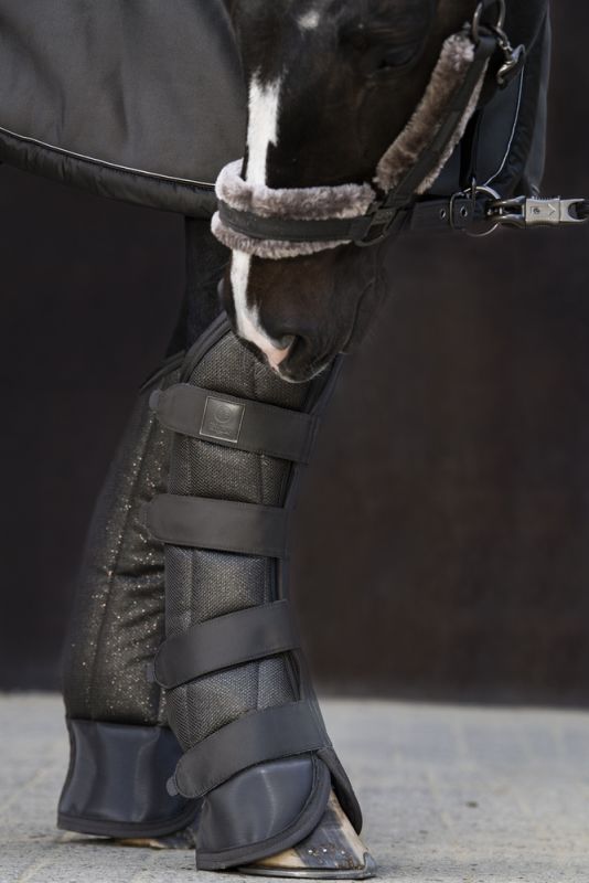 Pikeur GLITTER MESH Kostenlose Rückgabe