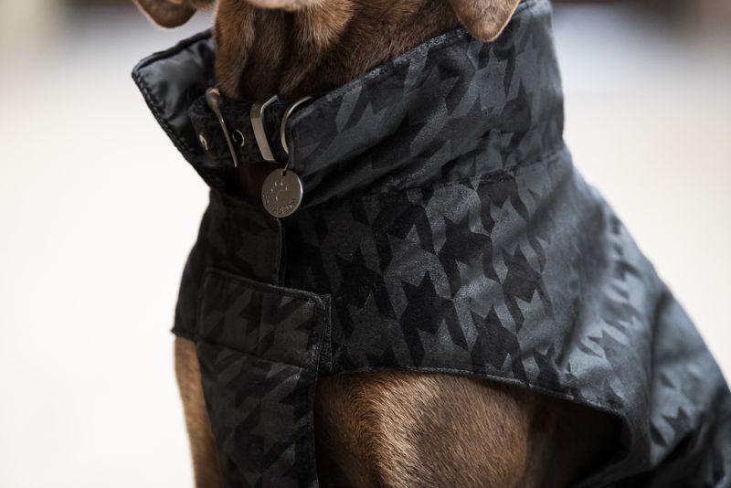 Pikeur VELVET STAMP Bis zu 65% Rabatt
