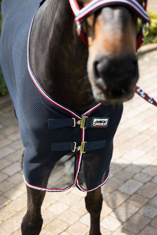 Pikeur FLY DURA CONTRAST Bis zu 55% Rabatt