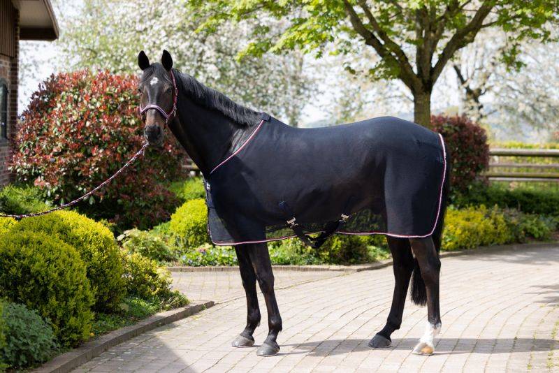 Pikeur FLY DURA CONTRAST Bis zu 55% Rabatt