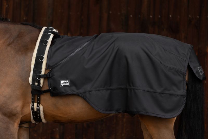 Pikeur 2 in 1 Nur noch ein Tag übrig