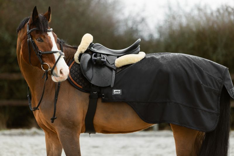 Pikeur 2 in 1 Nur noch ein Tag übrig
