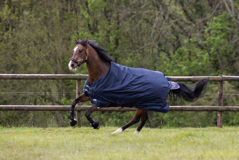 Pikeur ALPHA Fleecelining Kostenloser Versand international