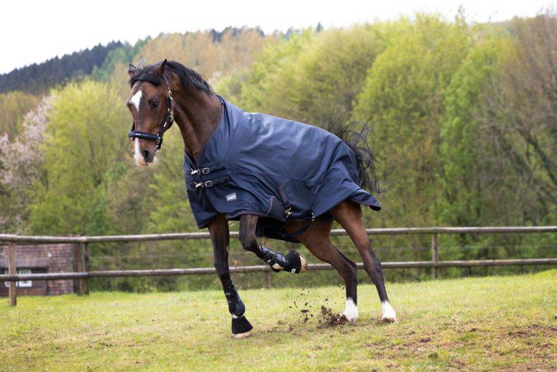 Pikeur ALPHA Fleecelining Kostenloser Versand international