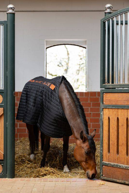 Pikeur ANTI SLIP 100 Fabrikladen