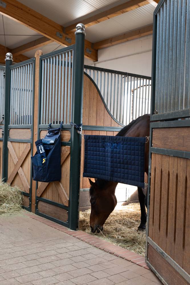 Pikeur BOXENGITTER QUILT SHORT Rabatte dieses Monats