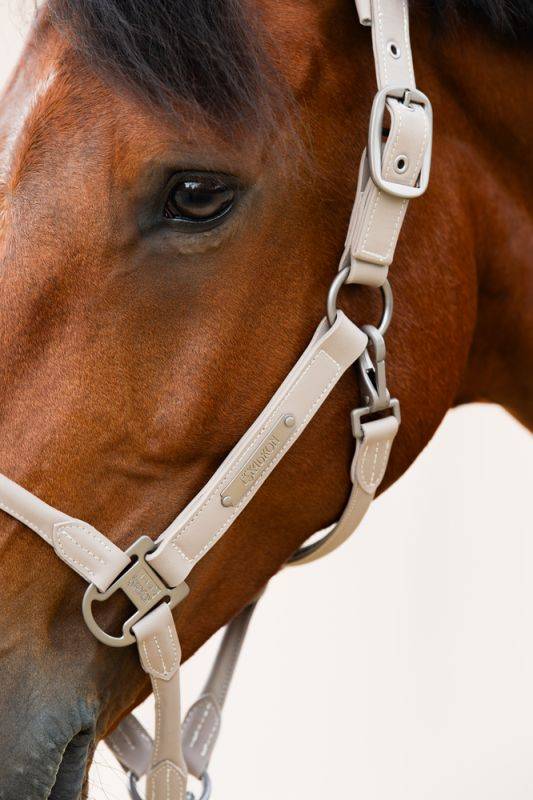Pikeur LEATHER DOUBLE PIN Kostenloser Versand