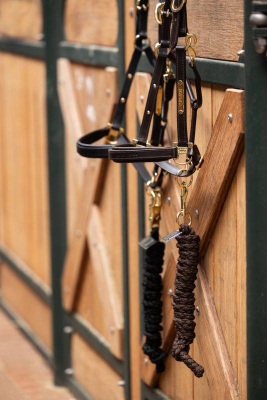 Pikeur LEATHER ELEGANCE Limitierter Zeitrabatt
