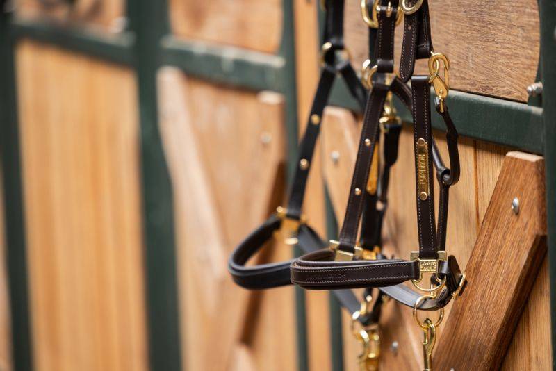 Pikeur LEATHER ELEGANCE Limitierter Zeitrabatt