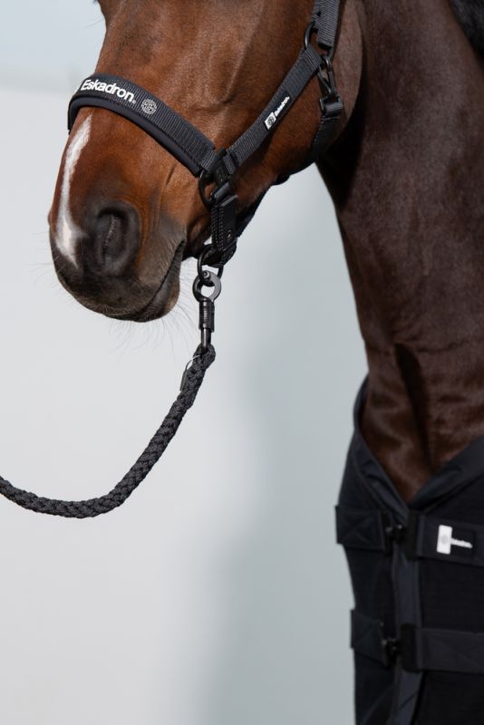 Pikeur Double-Pin Fabrik Onlineshop