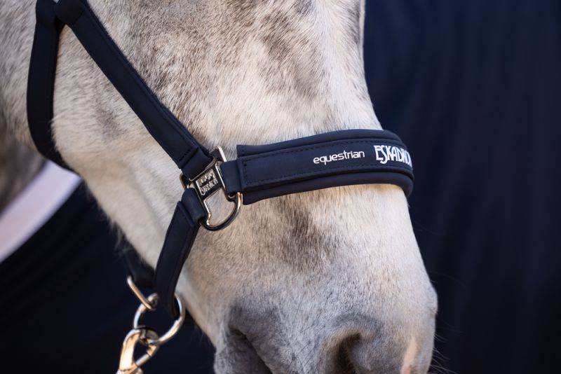 Pikeur DOUBLE PIN BUCKLE Exklusivangebot