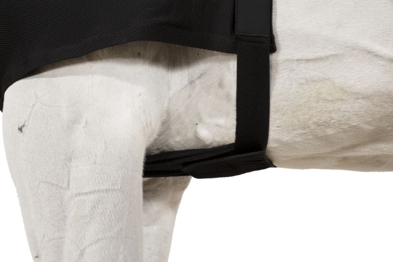 Pikeur DYNAIRMESH BRUSTSCHUTZ Blitzangebot