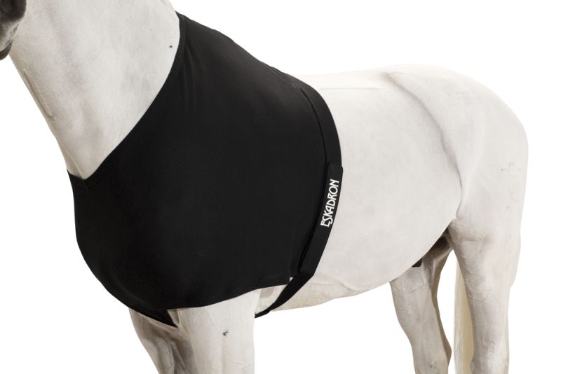 Pikeur DYNAIRMESH BRUSTSCHUTZ Blitzangebot