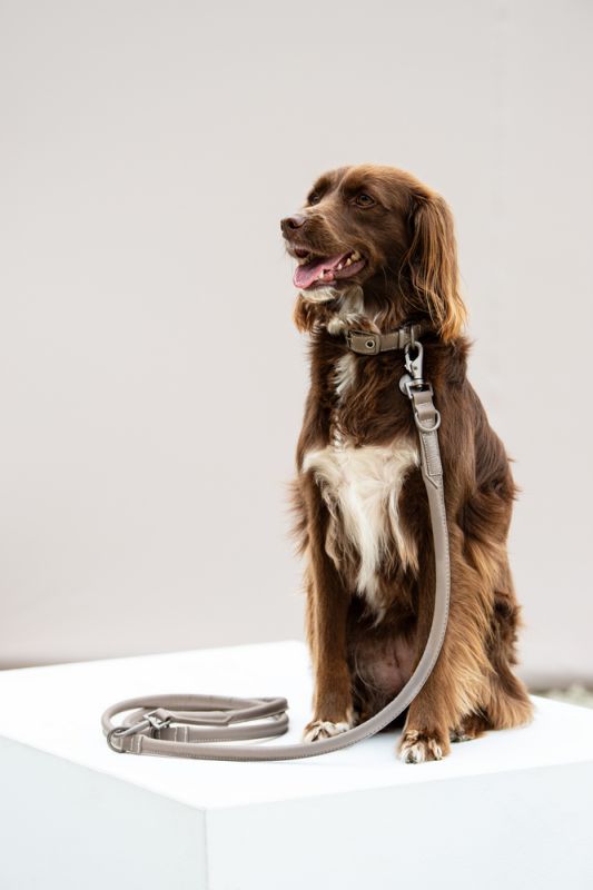 Pikeur LEATHER Online Outlet