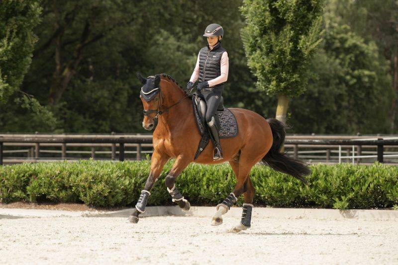 Pikeur GLOSSY HERITAGE Große Rabatte