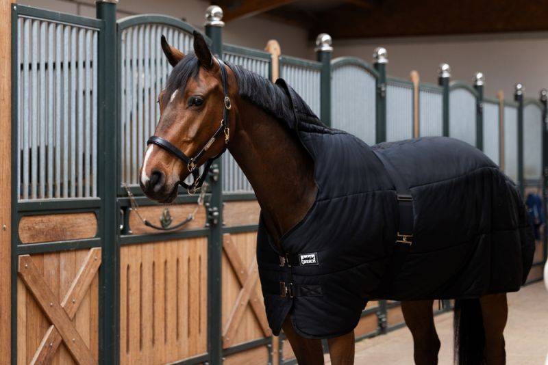 Pikeur THERMO COTTON 240 Zeitbegrenzte Promotion