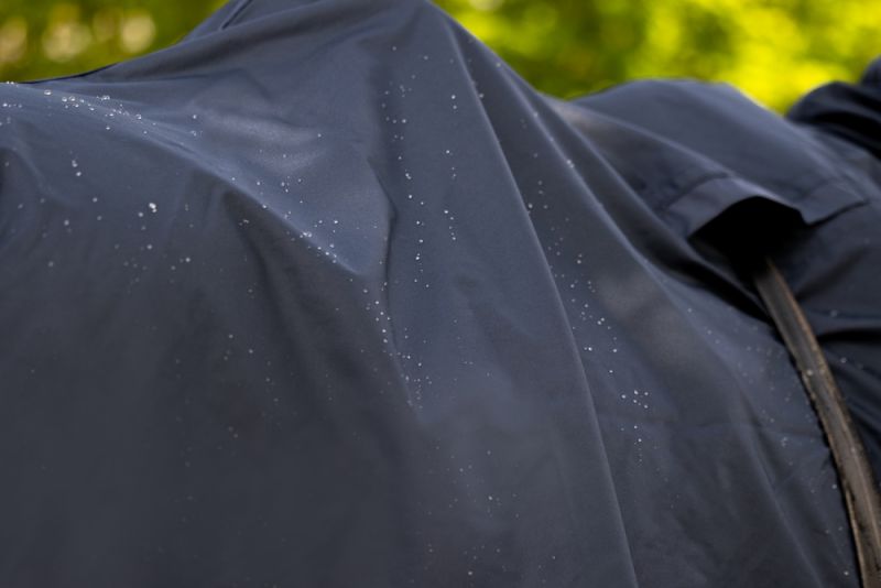 Pikeur ZIPNECK Nur für heute