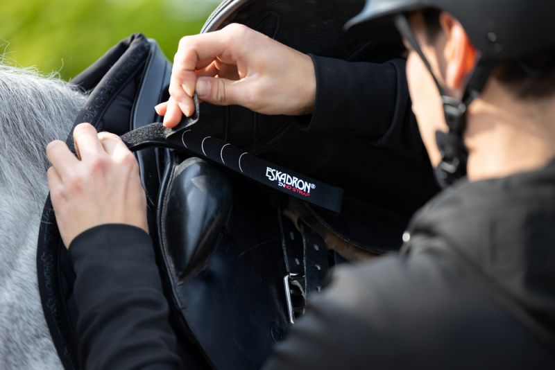 Pikeur INNO-STRAP Set Black Friday Preise