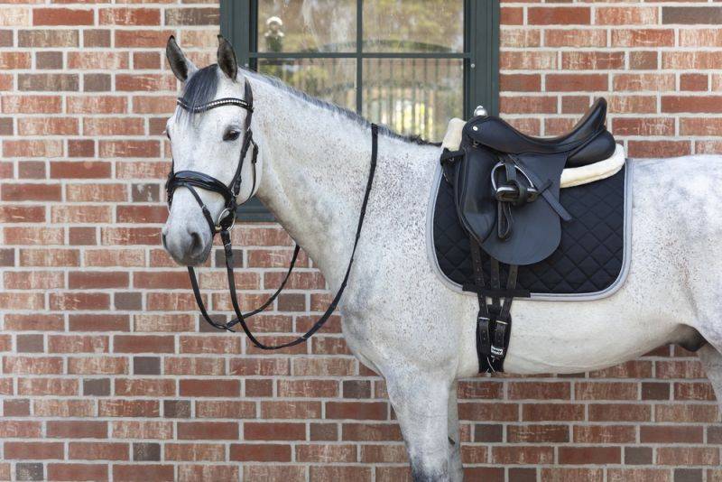 Pikeur MATRIX CONTRAST zollfrei