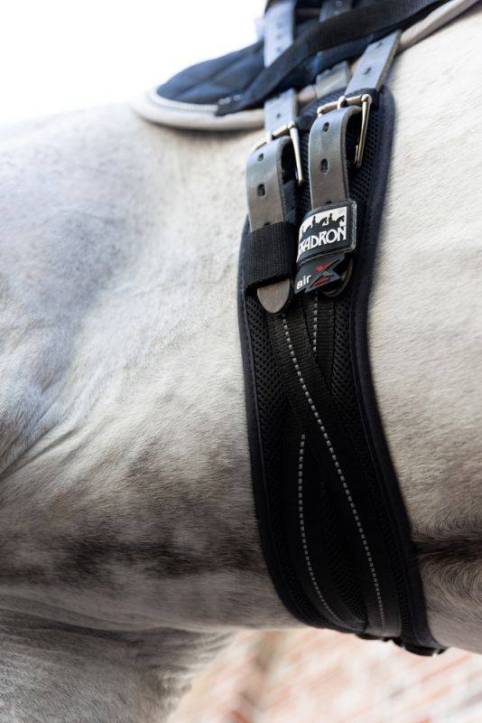 Pikeur MESH DRESSAGE 50% Rabatt für begrenzte Zeit