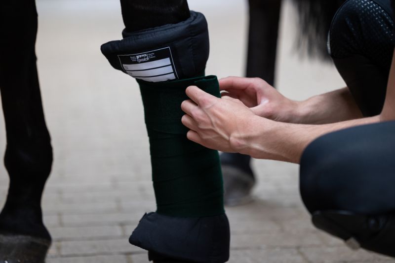 Pikeur MICRO PADS 2025