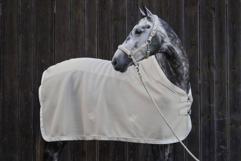 Pikeur MESH Online