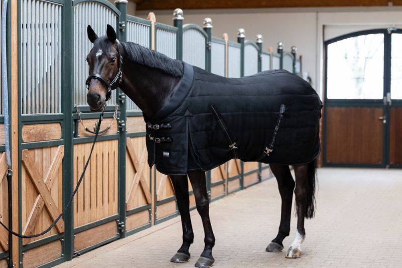 Pikeur SIGMA STABLE 100 Angebote