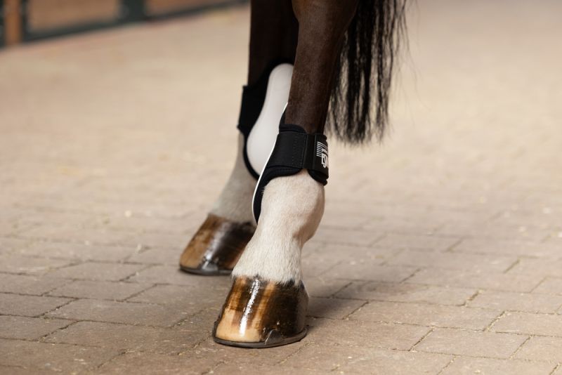 Pikeur PROTECTION ELASTIC H Begrenztes Angebot
