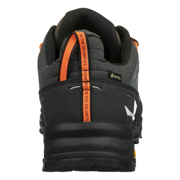 Salewa Alp Trainer 2 Gore-Tex® Schuh Herren zollfrei