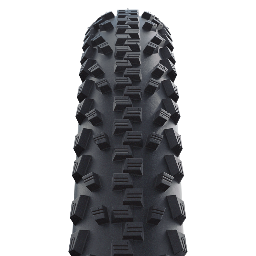 Schwalbe Black Jack Letzter Tag