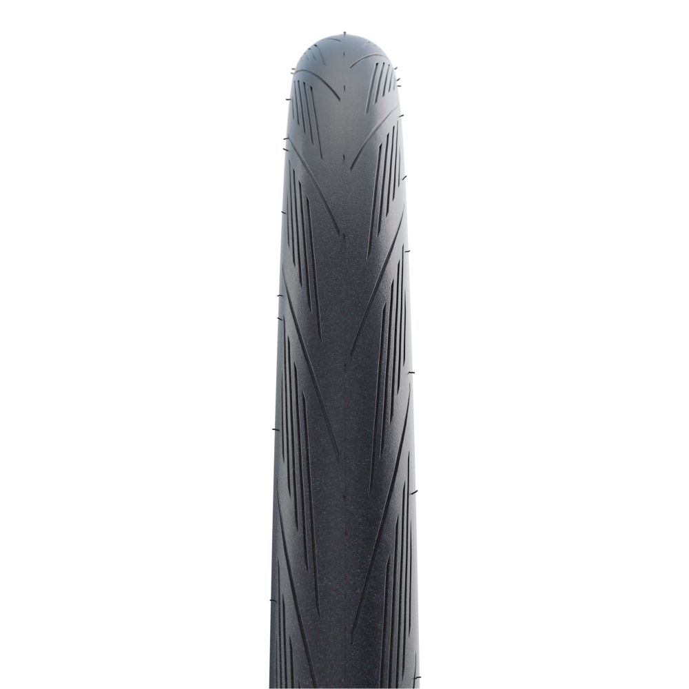Schwalbe Lugano II Nur für heute