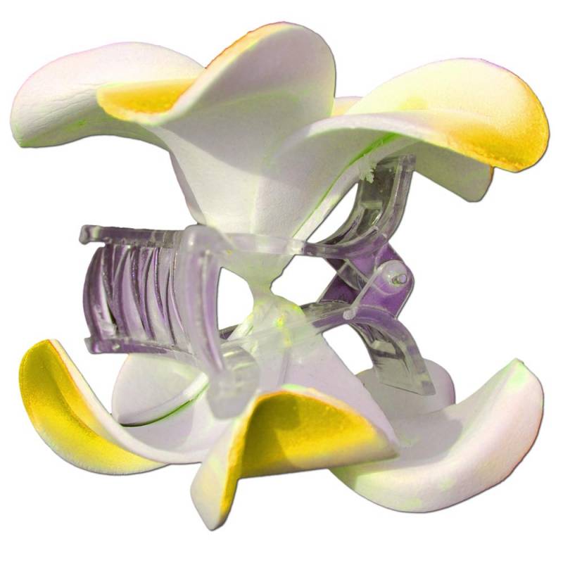Seestern Sportswear SEESTERN Bali Hawaii Haarklammer 2 Frangipani Blüten aus Moosgummi, Haarspange Gelb Fabrikverkauf