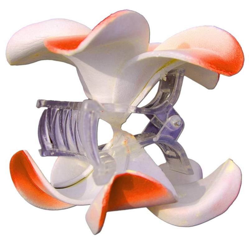 Seestern Sportswear SEESTERN Bali Hawaii Haarklammer 2 Frangipani Blüten aus Moosgummi, Haarspange Orange Meist gekauft