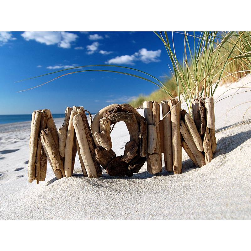 Seestern Sportswear SEESTERN Treibholz Deko m. MOIN Motiv Wanddeko Driftwood Surfing Schild Holzdeko /2345 Tägliche Deals
