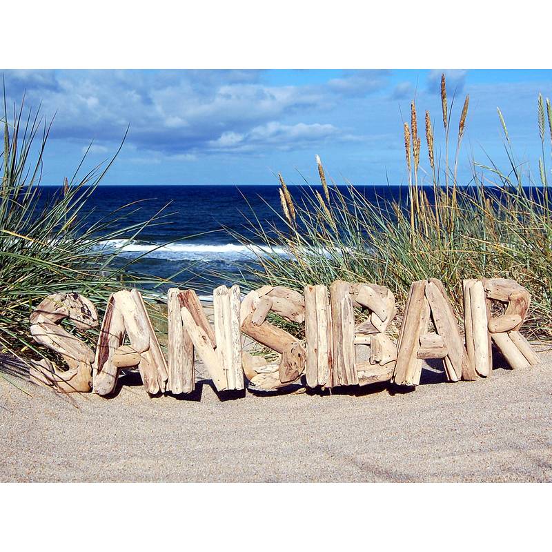 Seestern Sportswear SEESTERN Treibholz Deko m. SANSIBAR Motiv Wanddeko Driftwood Zansibar Schild Holzdeko /2346 Riesige Ersparnisse
