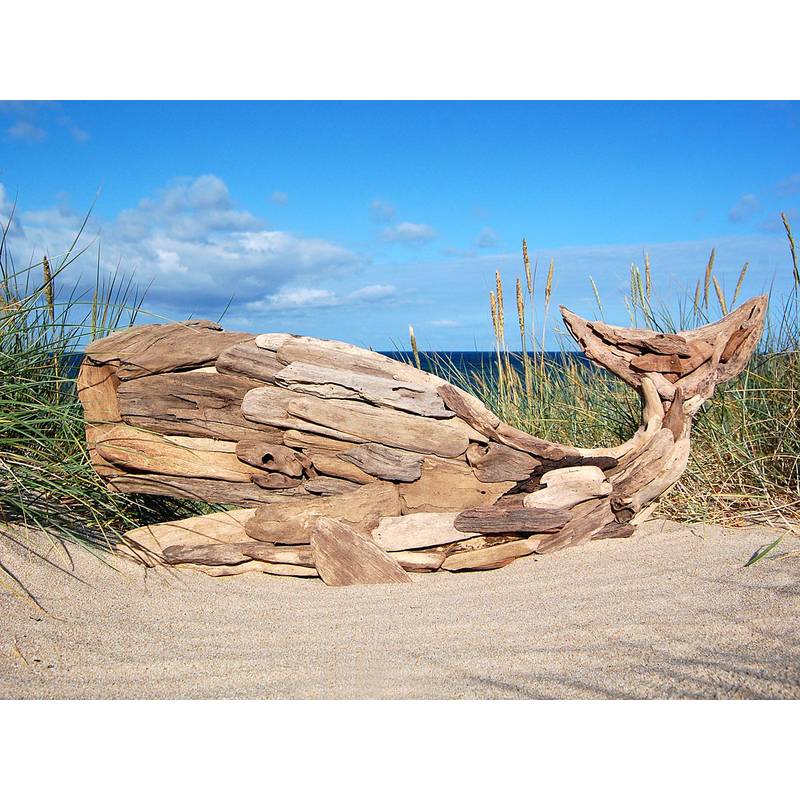 Seestern Sportswear SEESTERN Treibholz Deko m.Wal (106 cm) Motiv Wanddeko Driftwood Holzdeko /2341 Tiefpreis