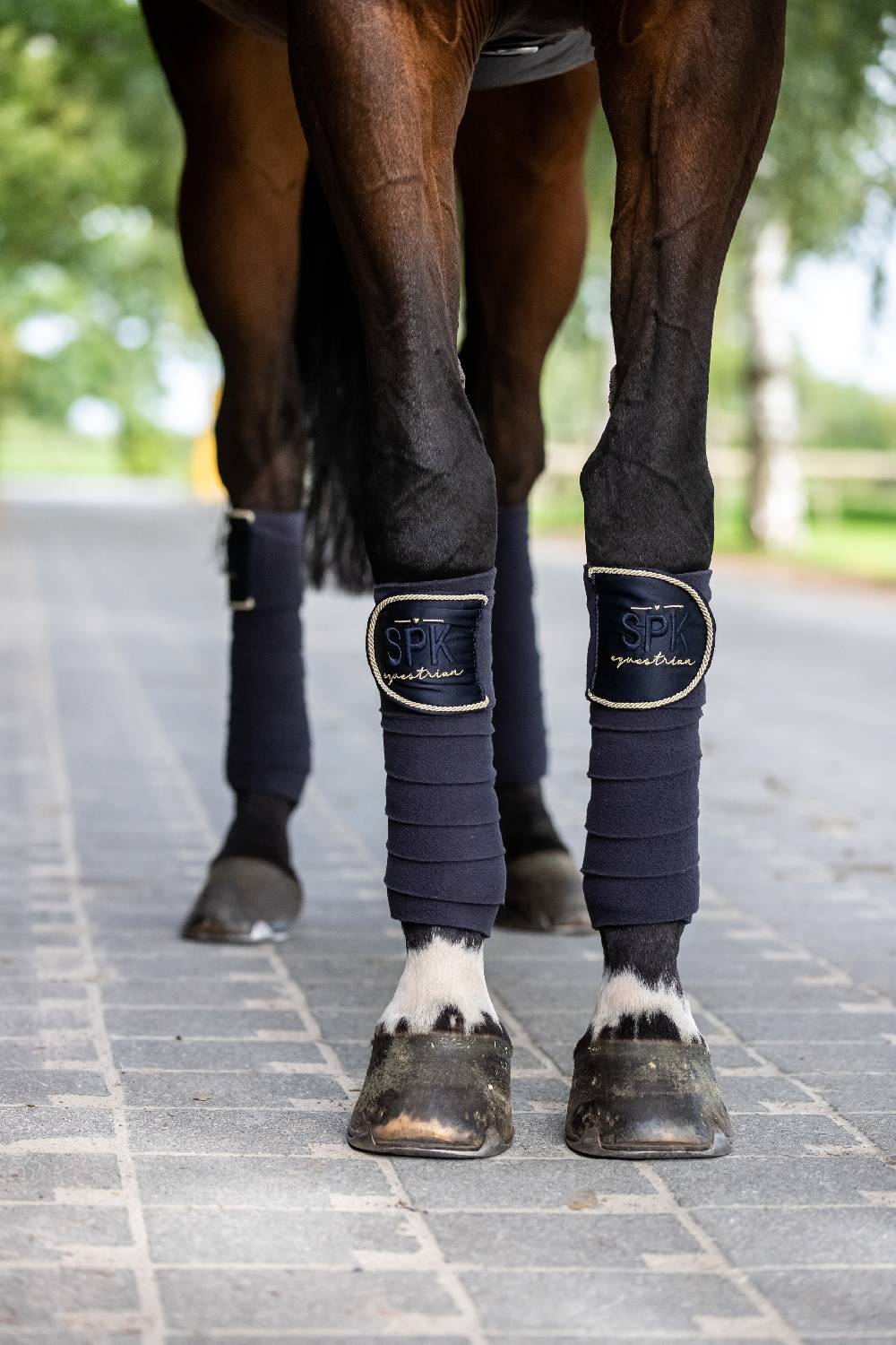 Spooks Bandages Annber Super Sparpreis