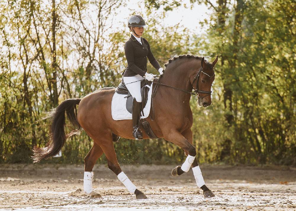 Spooks Dressage Pad Annber Bis zu 60% Rabatt
