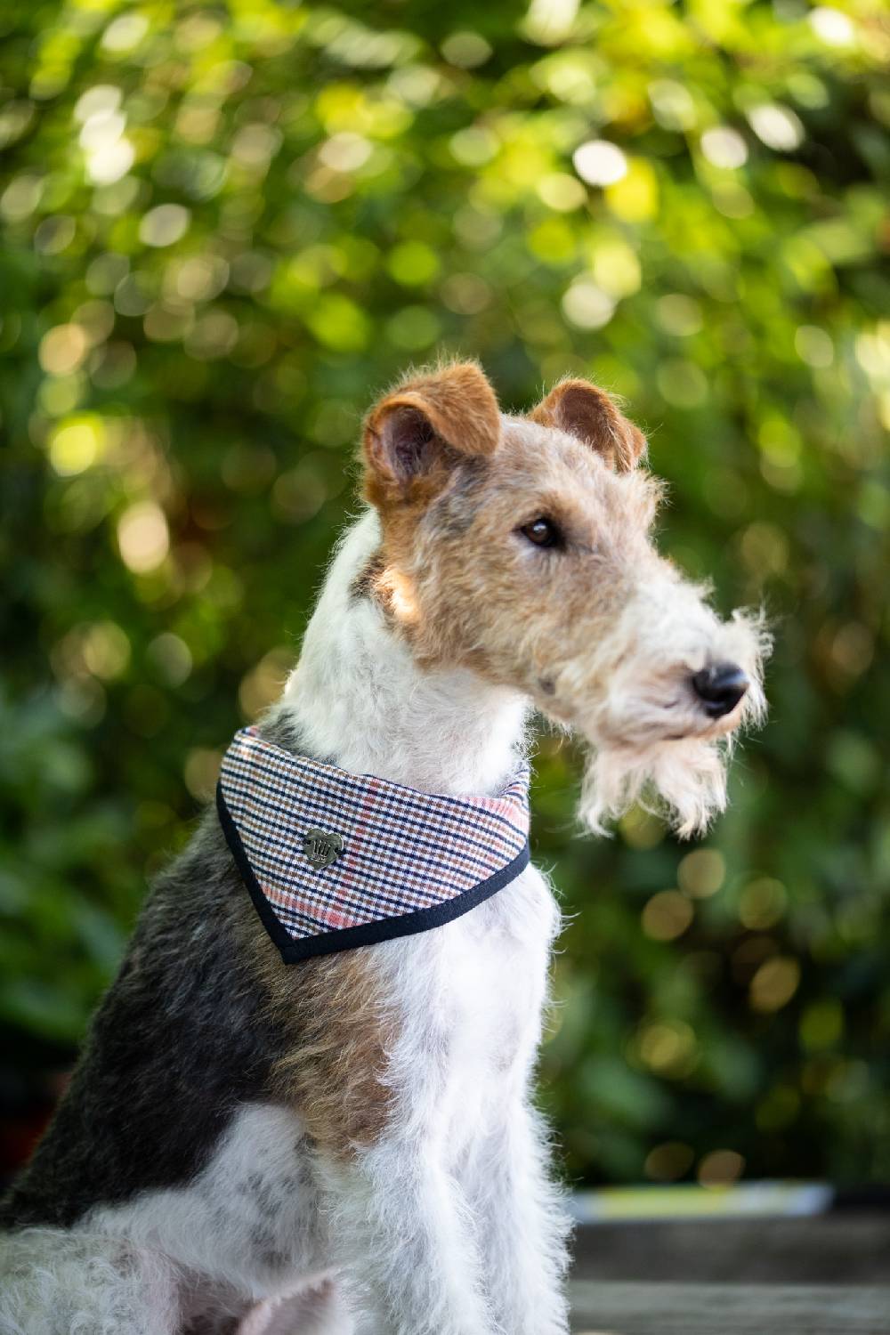 Spooks Dog Bandana Pippa Discount Store für neue Produkte