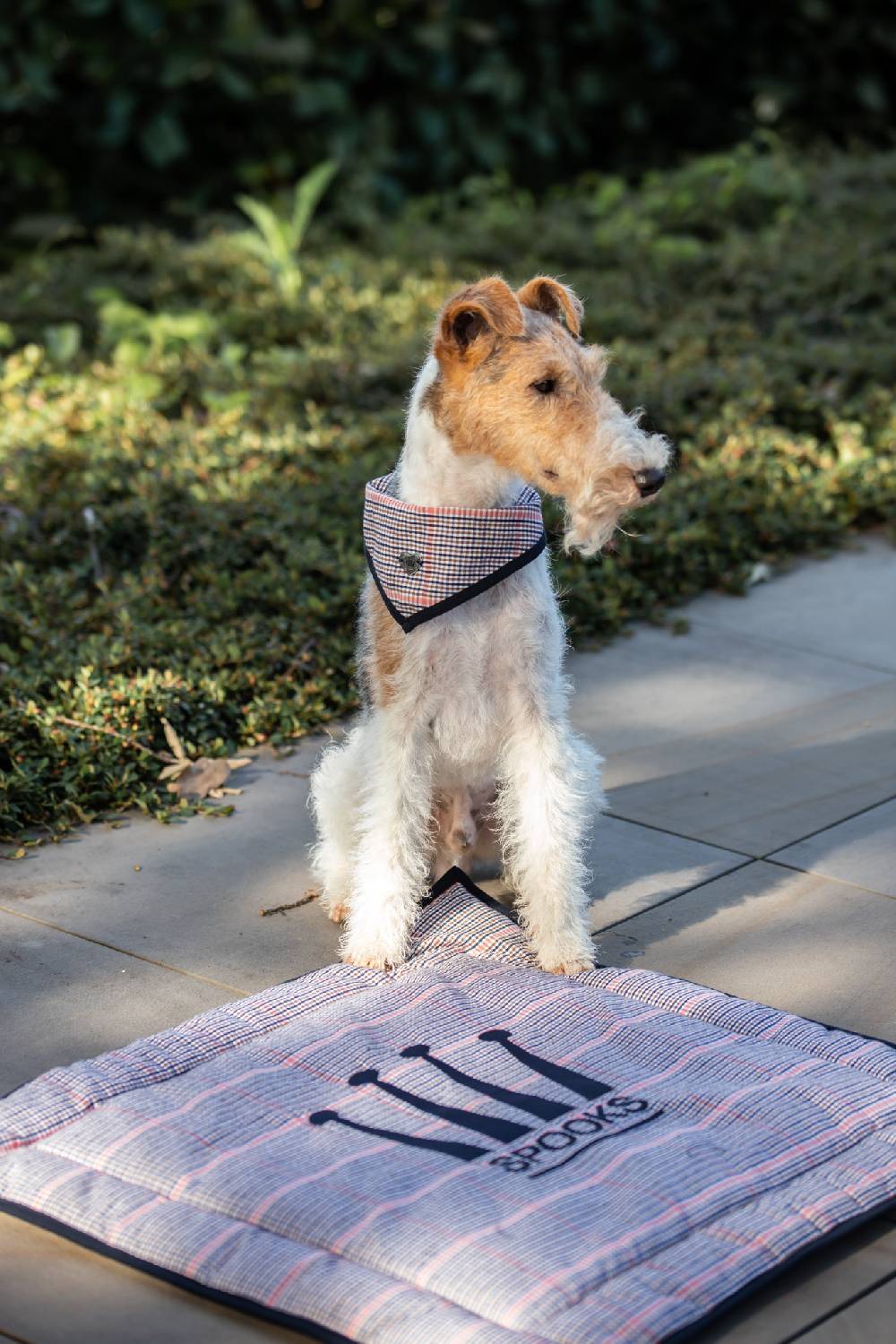 Spooks Dog Bandana Pippa Discount Store für neue Produkte