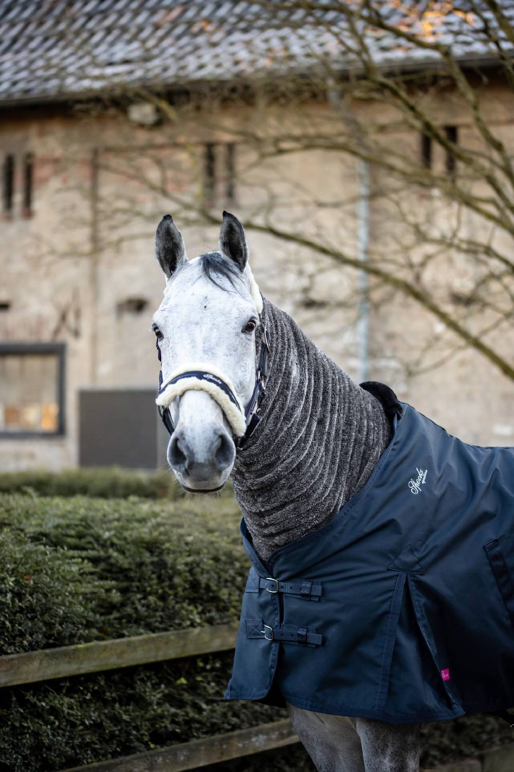 Spooks Horse Loop zollfrei